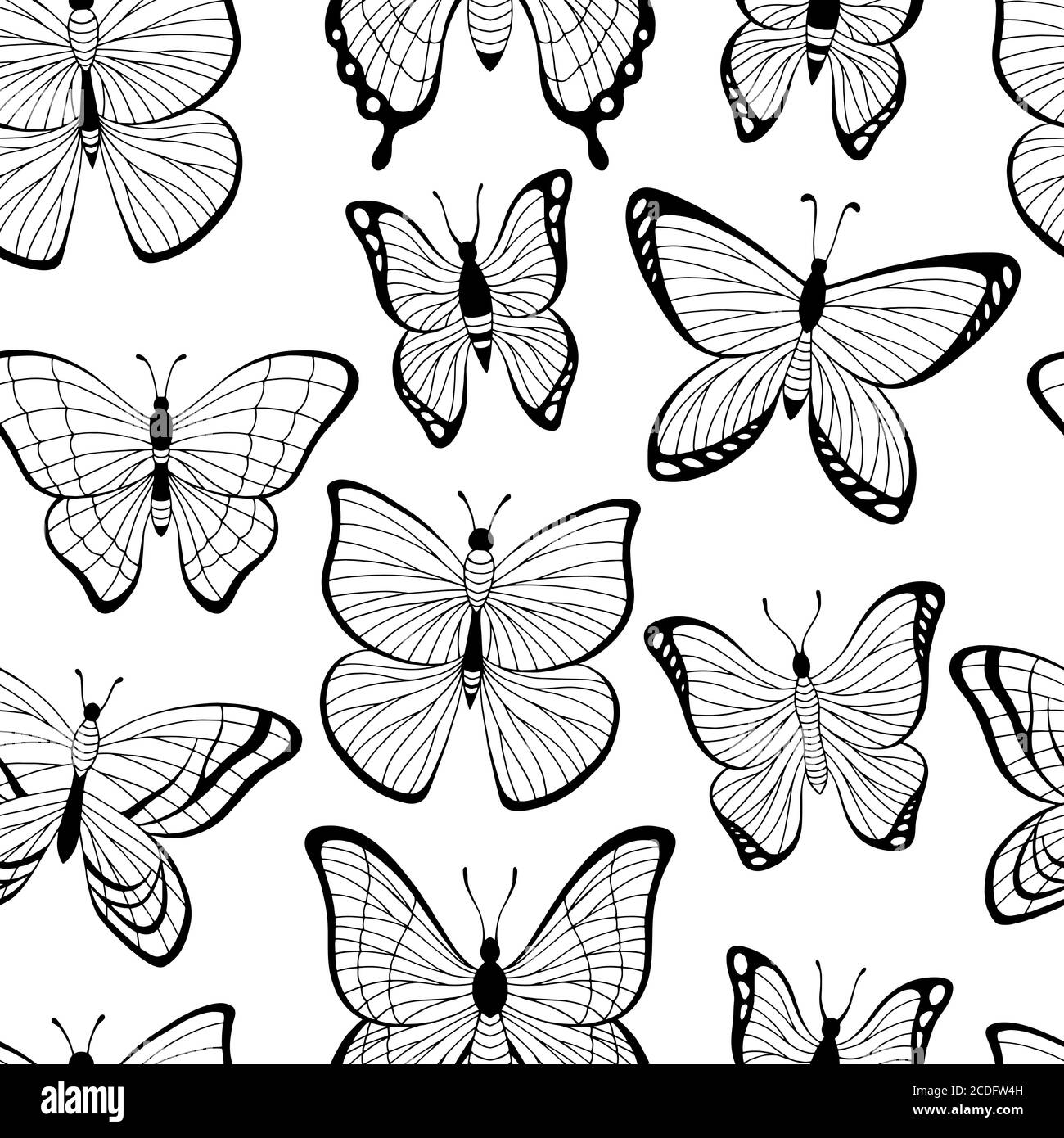 Butterfly graphic black white seamless pattern background sketch illustration vector Stock Vector