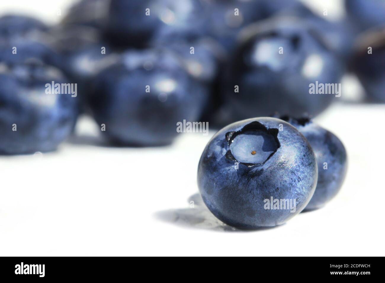 Big blueberries Stock Photo