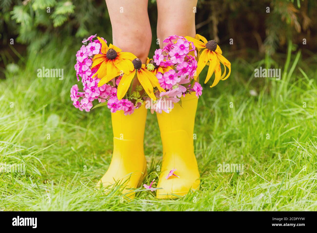 Child's feet in rubber yellow boots with autumn flowers in it Stock ...