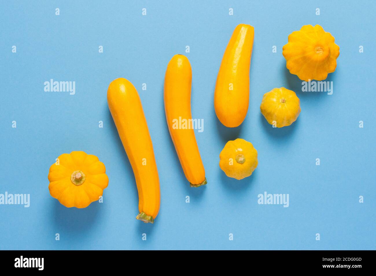 Fresh harvest of zucchini and pattypan squash, yellow squash and ...