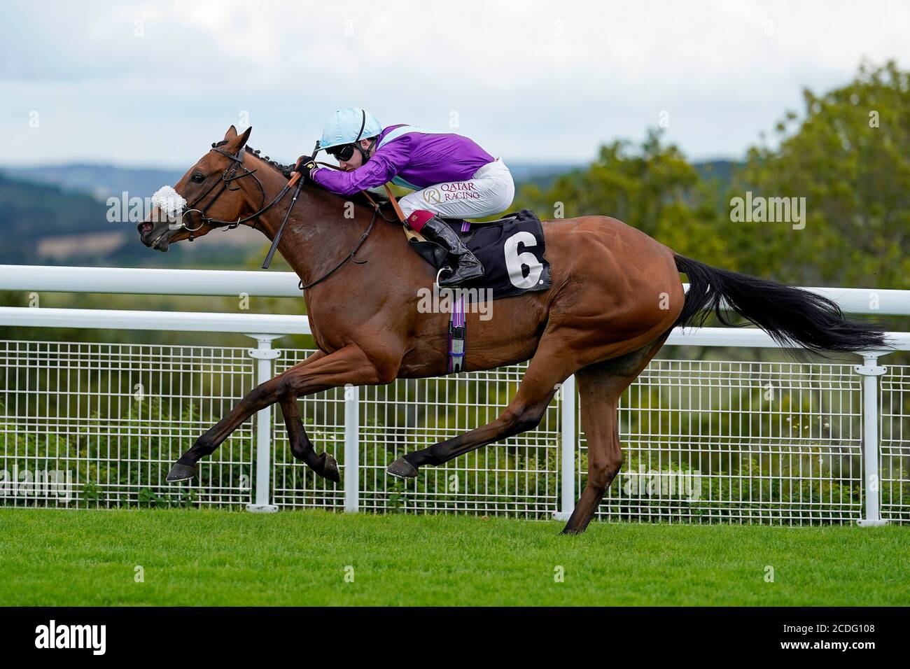 Oisin Murphy riding Quickstep Lady win The Ladbrokes Giving Extra Places Every Day Novice Stakes at Goodwood Racecourse. Stock Photo