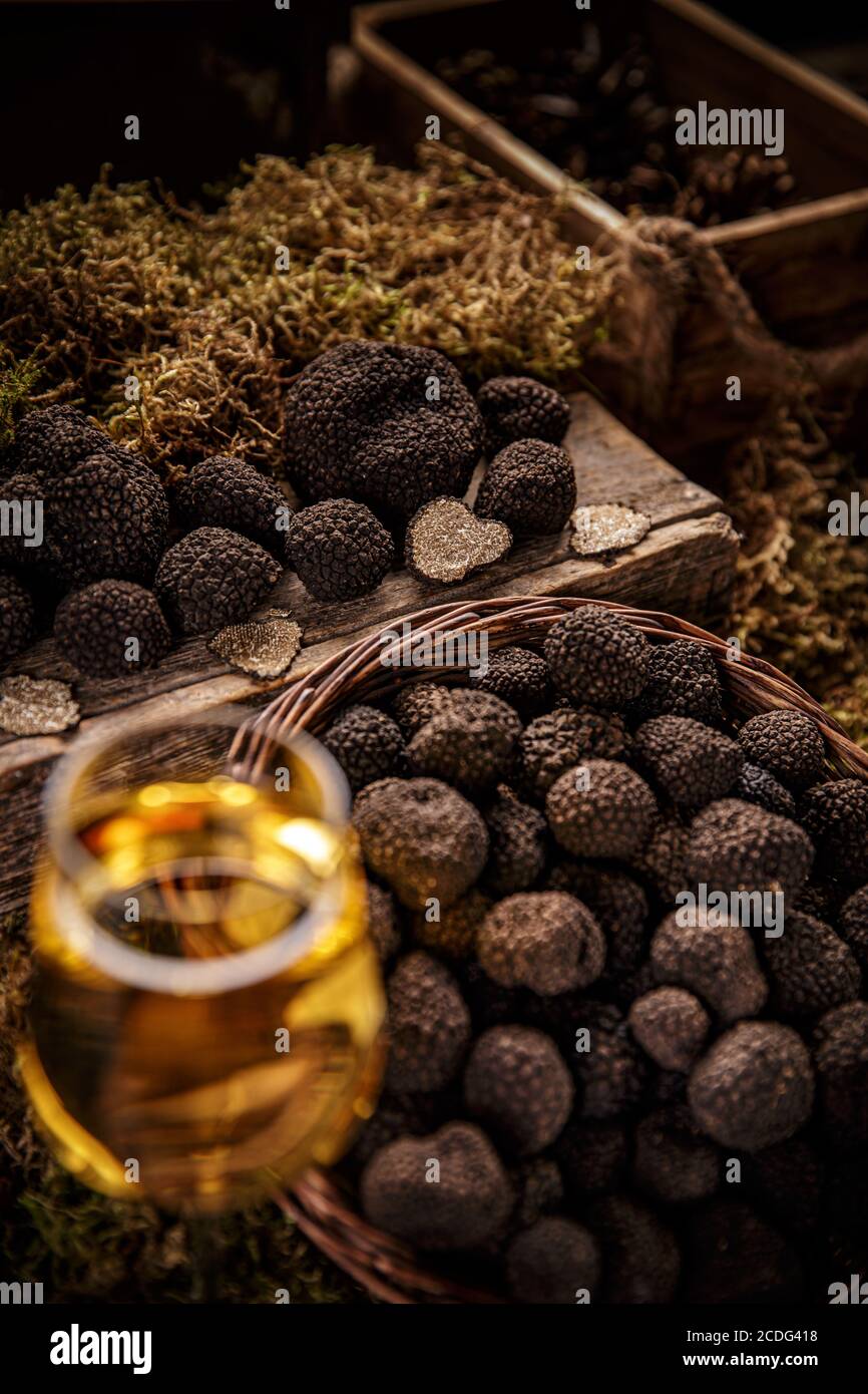 Still life of fresh whole black truffle mushrooms Stock Photo Alamy