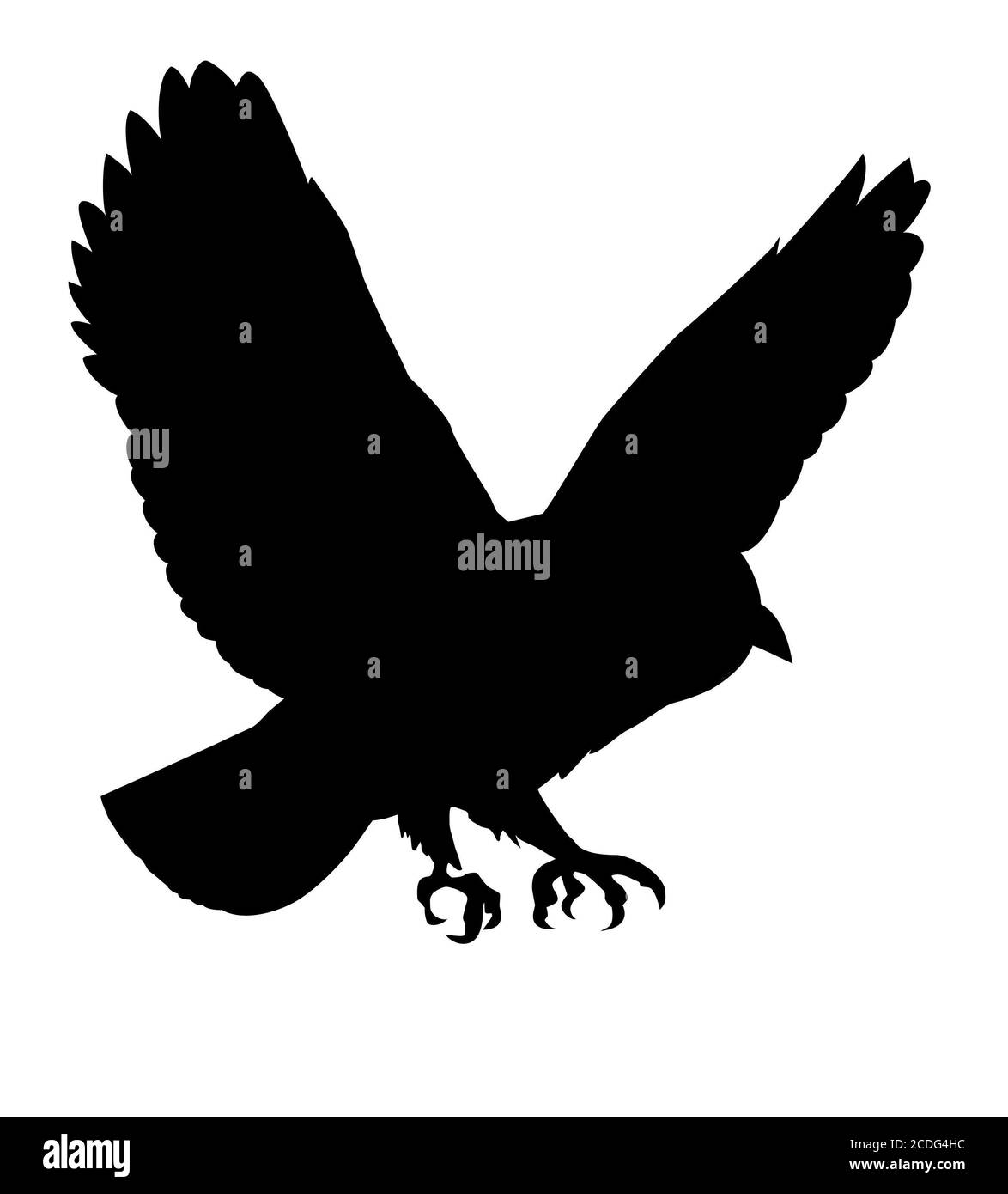 vector silhouette of the ravenous bird on white background Stock Photo ...