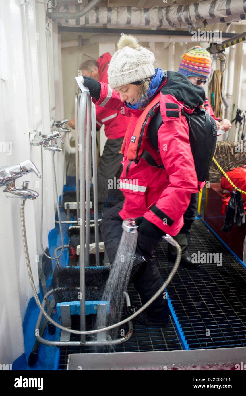 A tourist to antarctica aboard the G Expedition cruise ship cleans her boots after landing Stock Photo