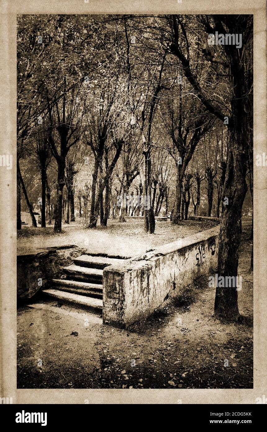 Nature photography archive hi-res stock photography and images - Alamy