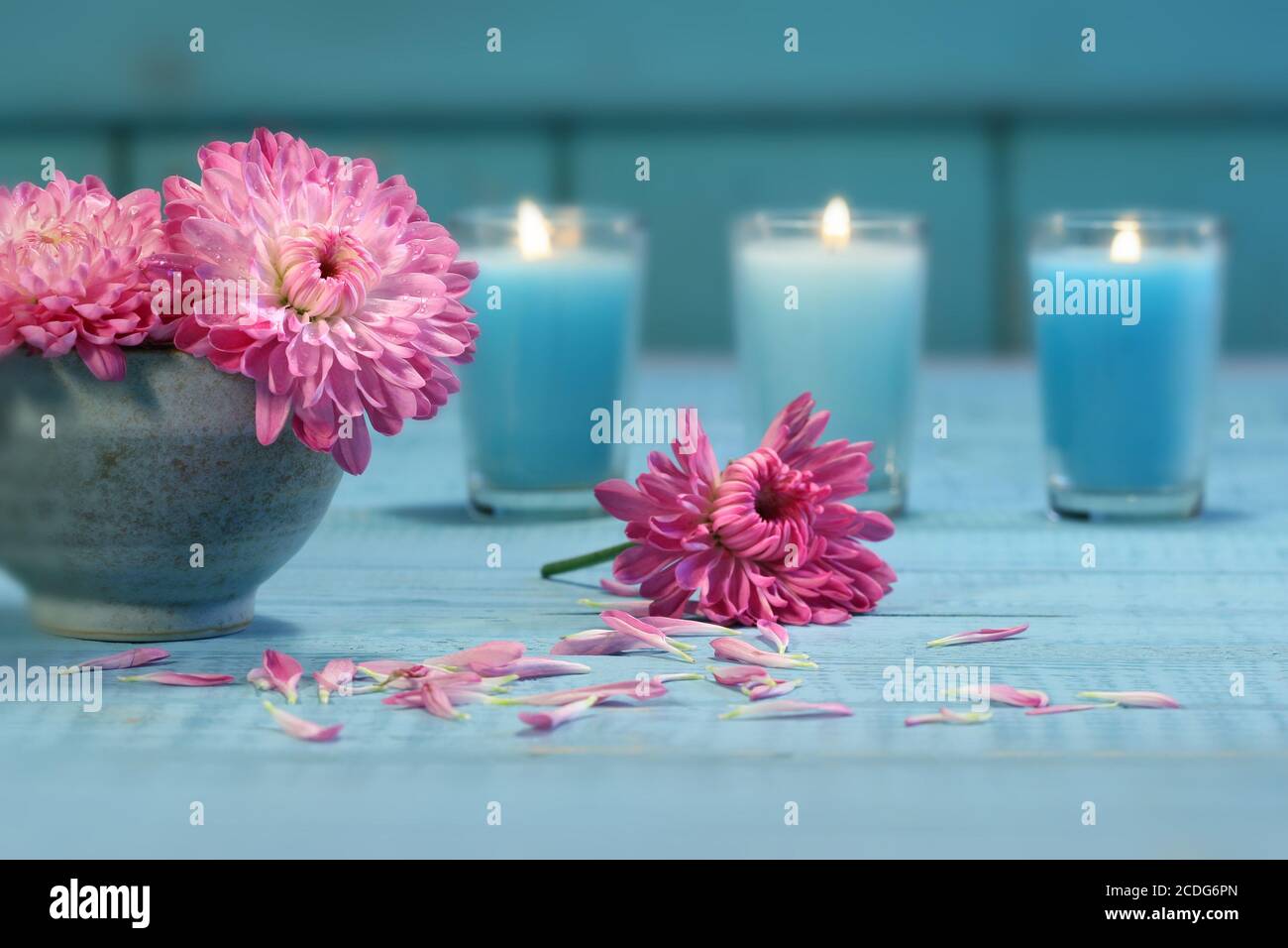 Pink chrysanthemum flowers in bowl of water with c Stock Photo Alamy