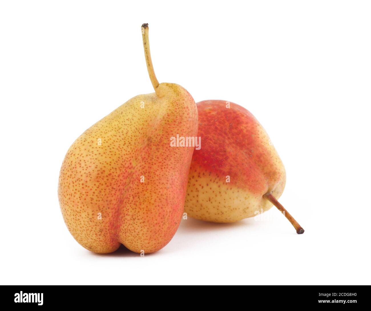 Two ripe pears on white background Stock Photo