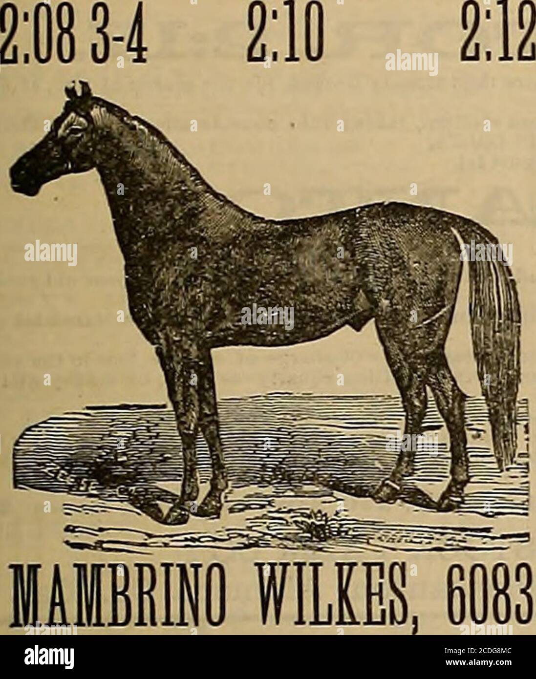 S woodford hi-res stock photography and images - Page 4 - Alamy