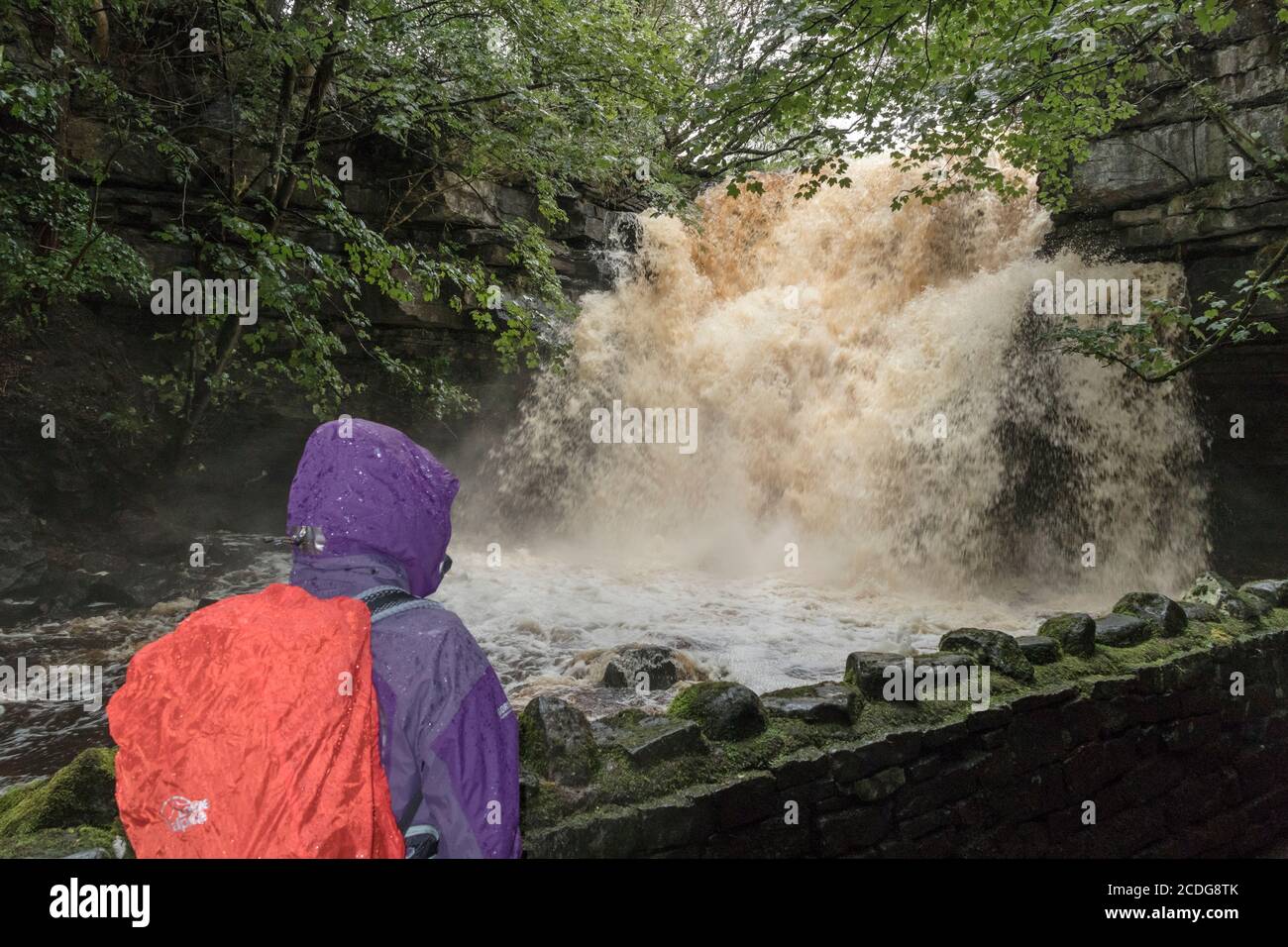 Teesdale, County Durham, UK.  28th August 2020. UK Weather.  Floodwater thunders over Summerhill Force waterfall after heavy overnight rain caused river levels to rise in Teesdale, County Durham.  Credit: David Forster/Alamy Live News Stock Photo