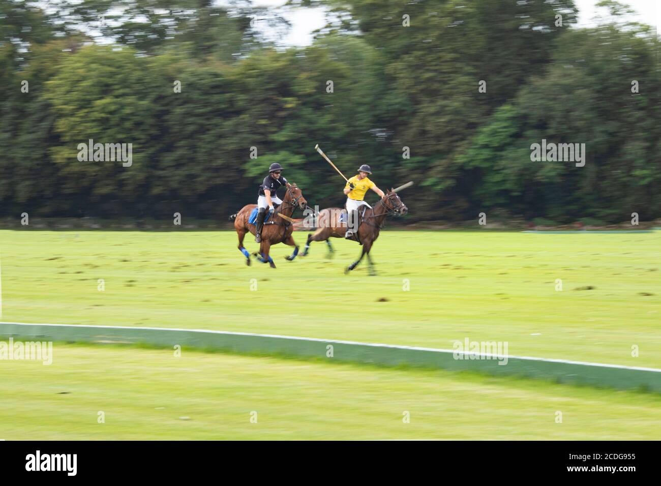 Polo players taking part in a competitive match in Cirencester Park in Gloucestershire. Known as 'The Sport of Kings'. A game consists of 8 chukkas. Stock Photo