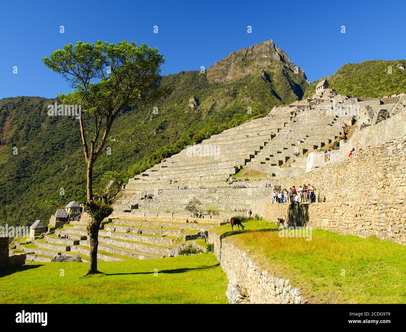 Machu picchu gate in hi-res stock photography and images - Alamy