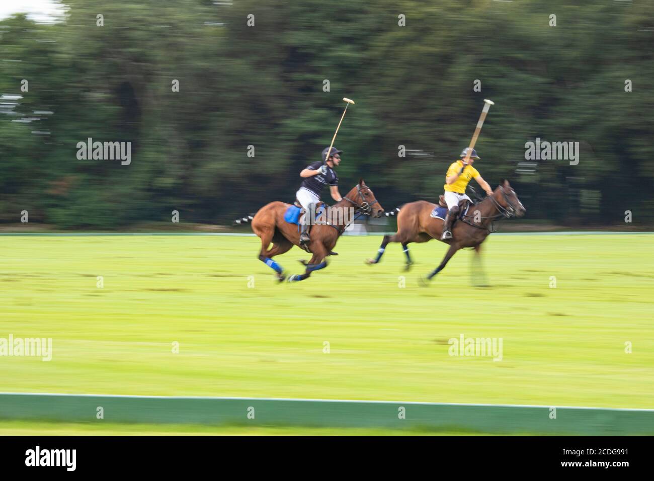 Polo players taking part in a competitive match in Cirencester Park in