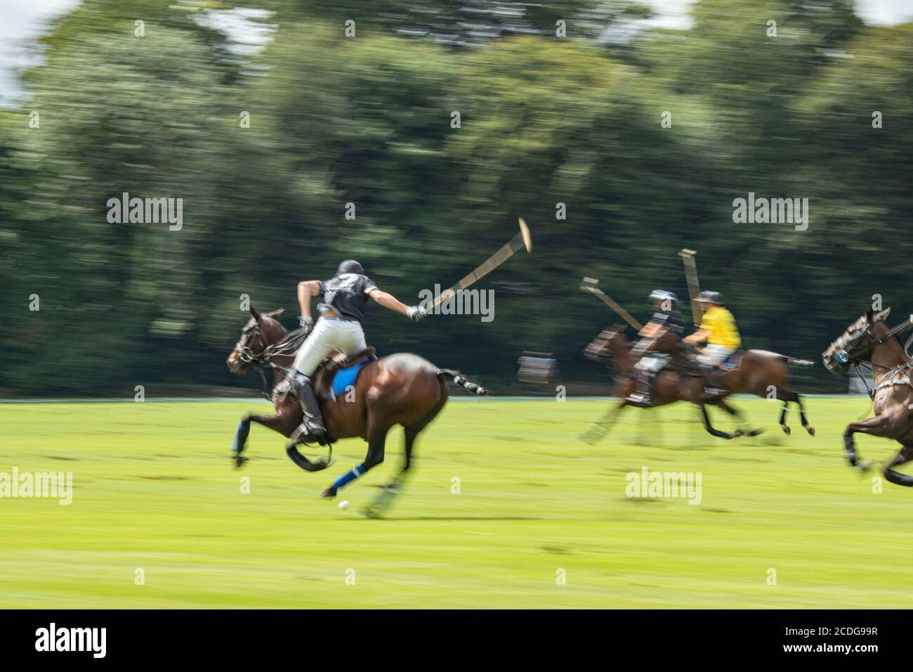 Polo players taking part in a competitive match in Cirencester Park in Gloucestershire. Known as 'The Sport of Kings'. A game consists of 8 chukkas. Stock Photo