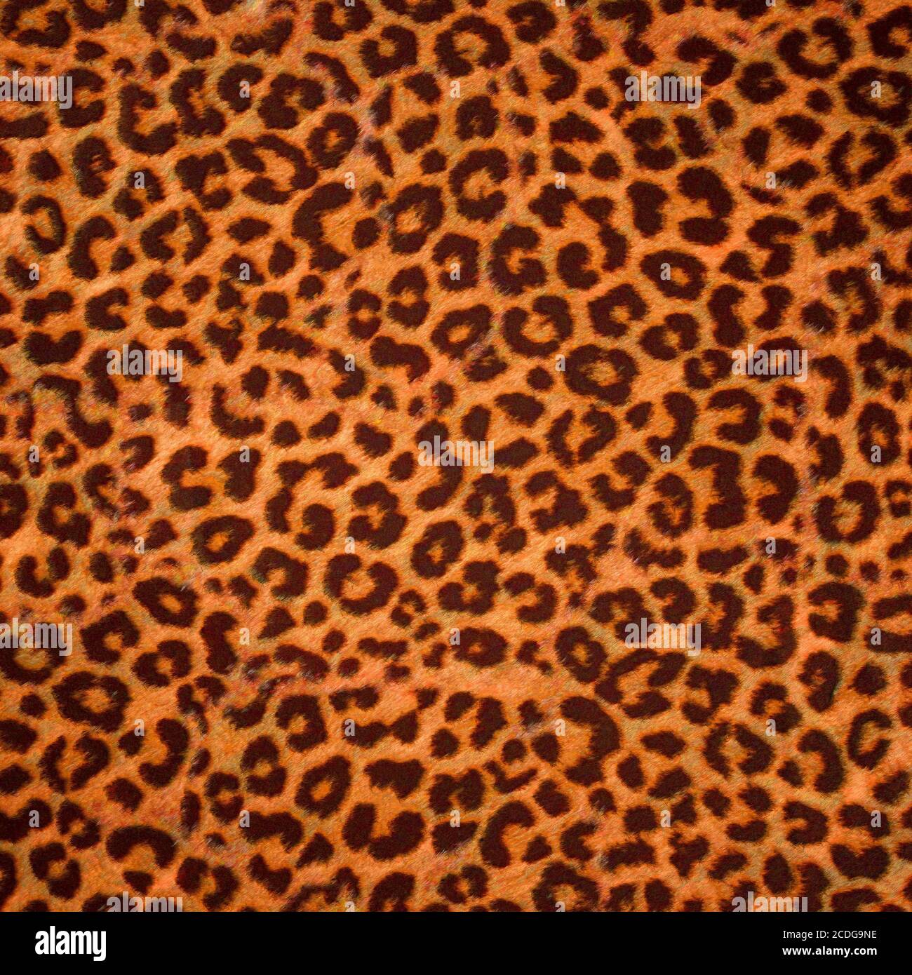 Leopard skin background or texture Stock Photo