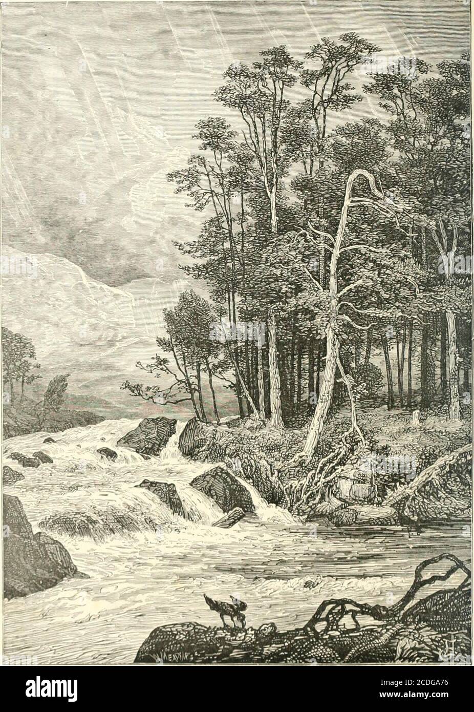 . Scottish pictures, drawn with pen and pencil . ndants, the ill-fated princess passed her brief and happychildhood. For varied loveliness of woodland, streamlet, hill, lake, and island,with glimpses of sterner majesty beyond, no little excursion could well bemore charming than this from Dullater, at the outlet of Vennachar, to thePort of Menteith, and to Aberfoyle, near the foot of beautiful Loch Ard,described in Rob Roy. From this village a mountain-road leads pastLoch Drunkie to the Trossachs. Callander itself, excepting the pretty fall of Bracklinn above the village,presents no jjoints of Stock Photo