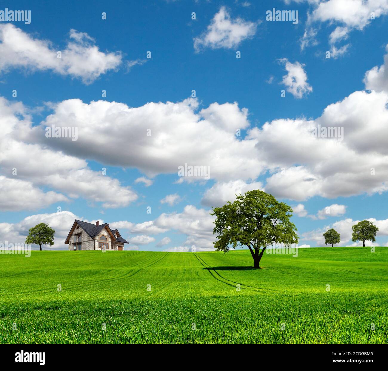 EcoRegion Stock Photo