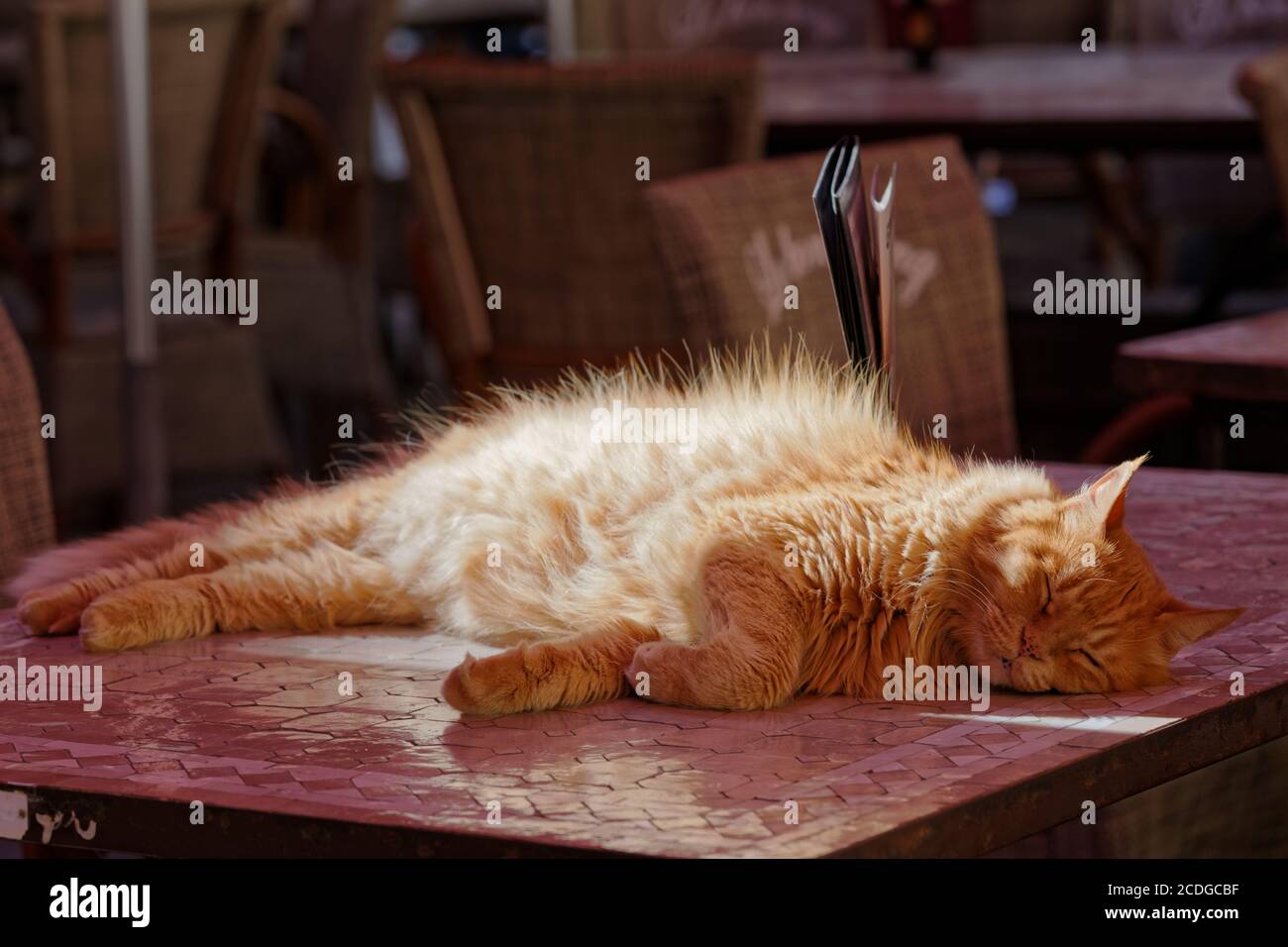 Ginger cat sleeping on a mosaic table of a street cafe Stock Photo
