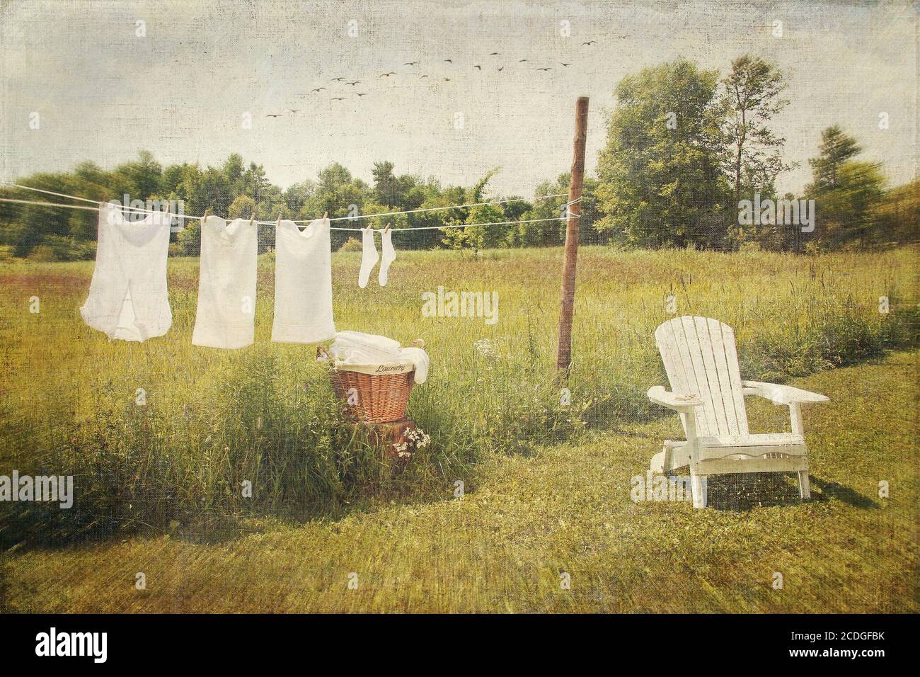 White cotton clothes drying on a wash line Stock Photo Alamy