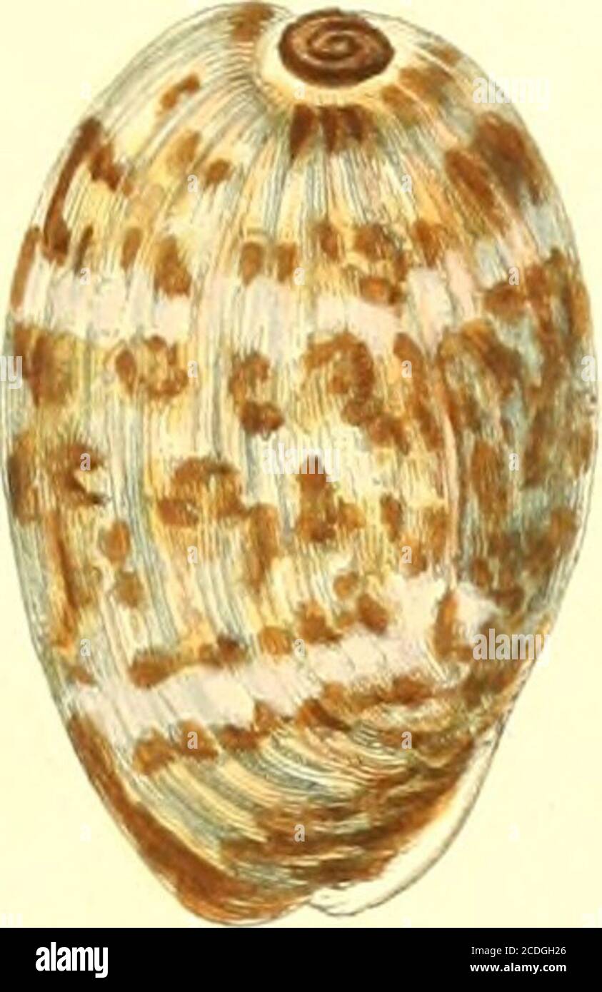 Faill High Resolution Stock Photography And Images Alamy