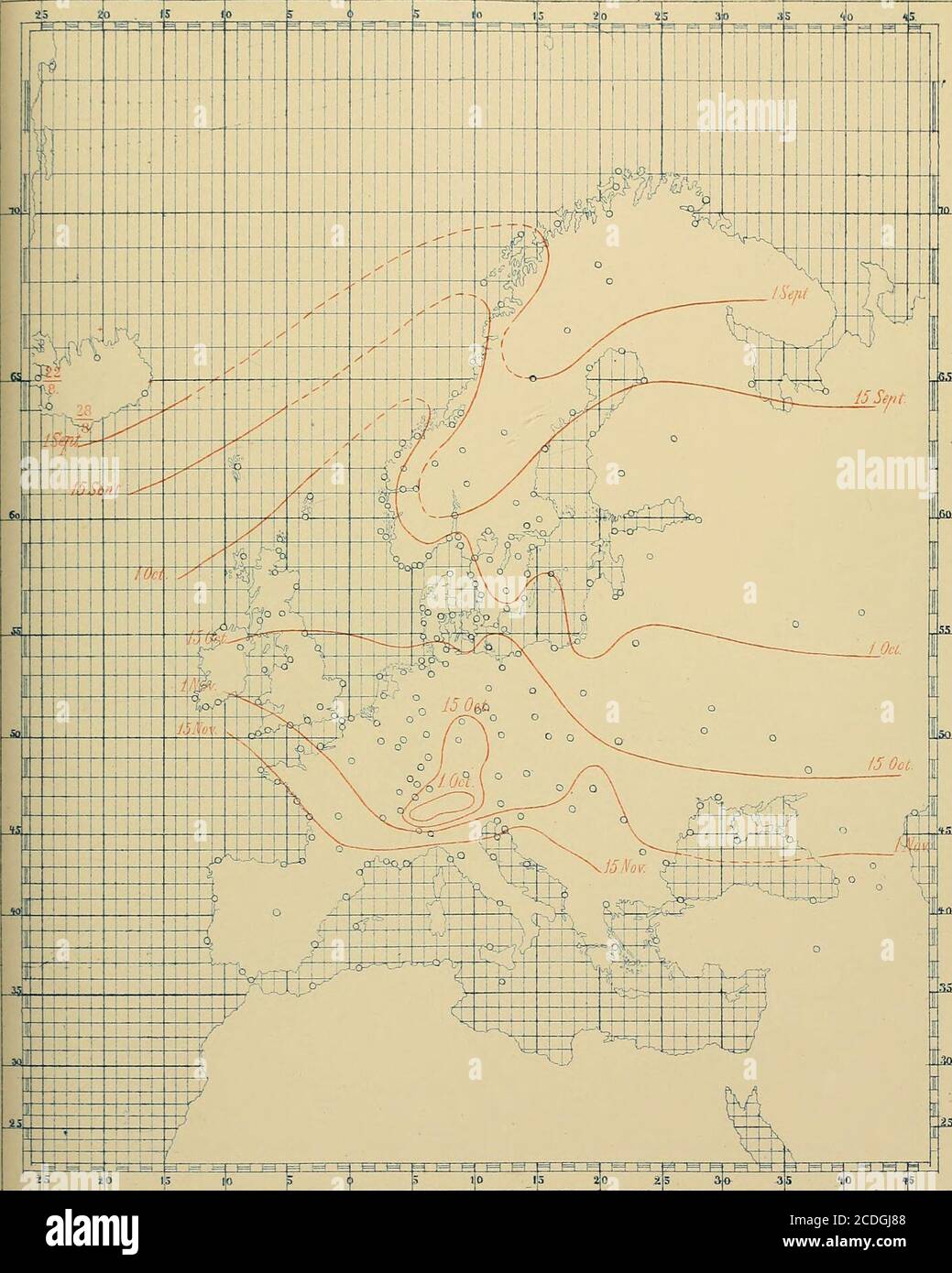 Ellaalexandraxo porn