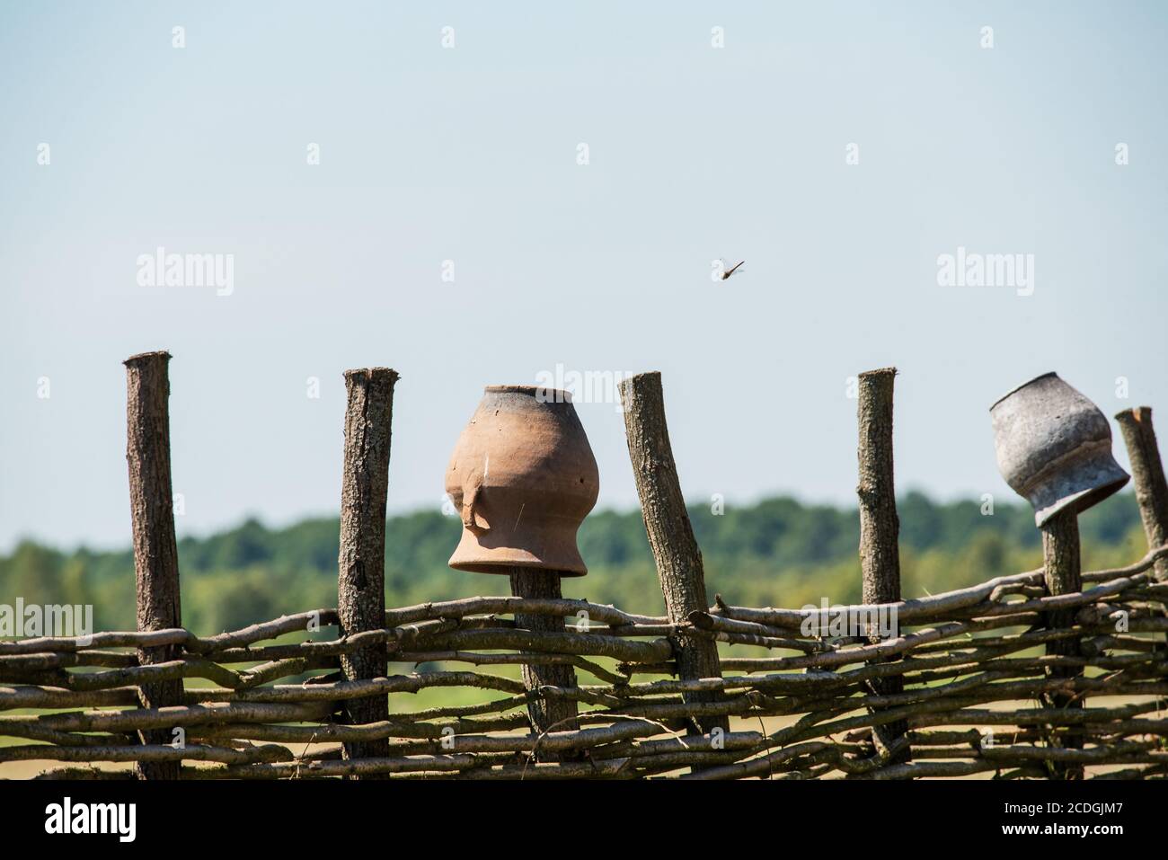 Fence wicker from the vine, texture, background. Wicker vine fence