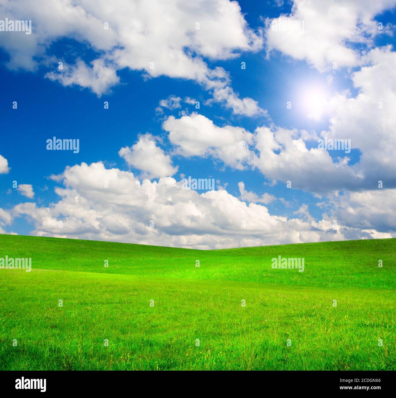 Green field under blue cloudy sky whit sun Stock Photo - Alamy