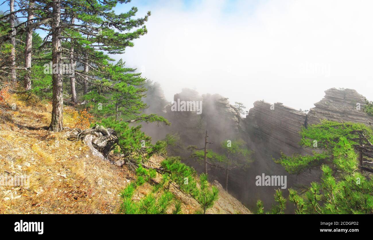 Stitched Panorama Stock Photo