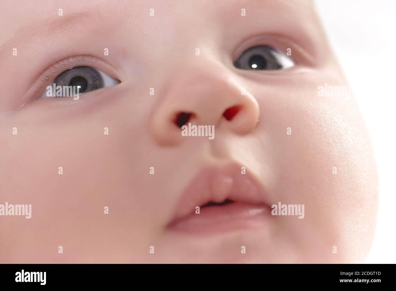 small child of monthly age observes of the world n Stock Photo
