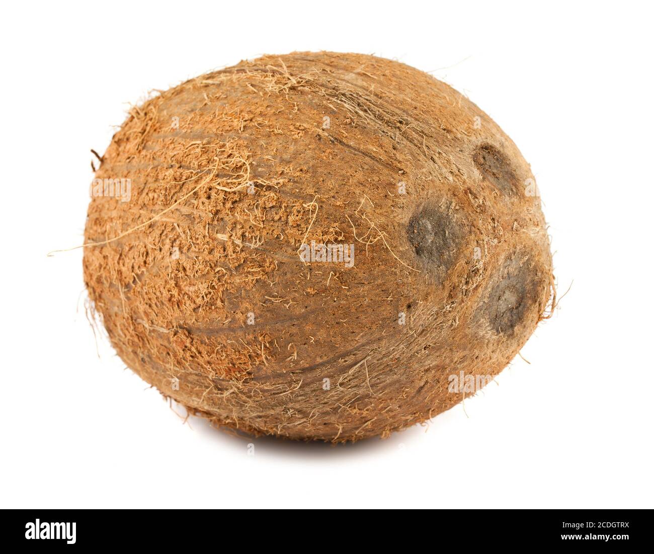 Dried coconut shell hi-res stock photography and images - Alamy