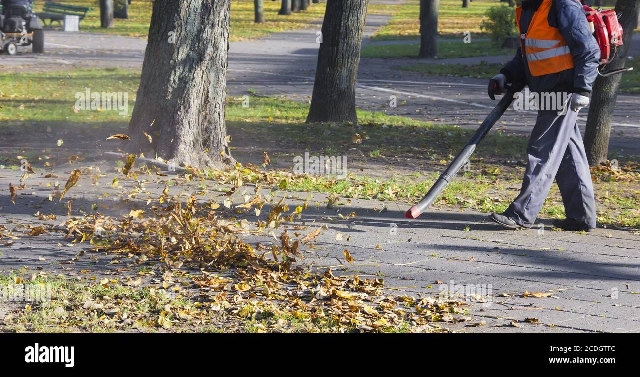 Worker cleans the street from the autumn leaves Stock Photo
