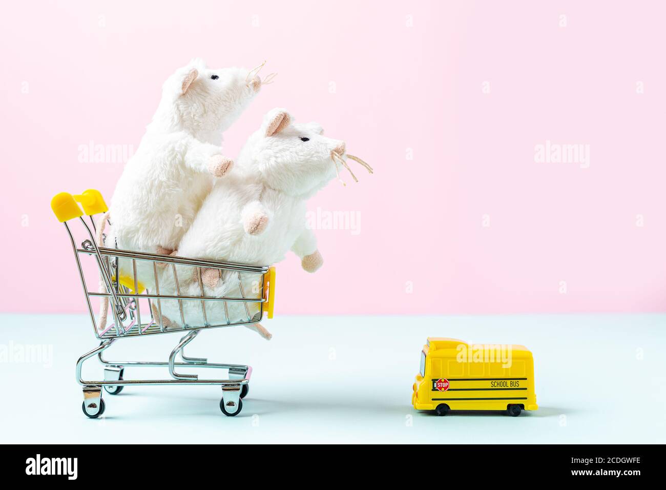 Back to school Composition with yellow school bus model with wooden colour pencils and two white mouse in the shopping cart on pink background. Transp Stock Photo