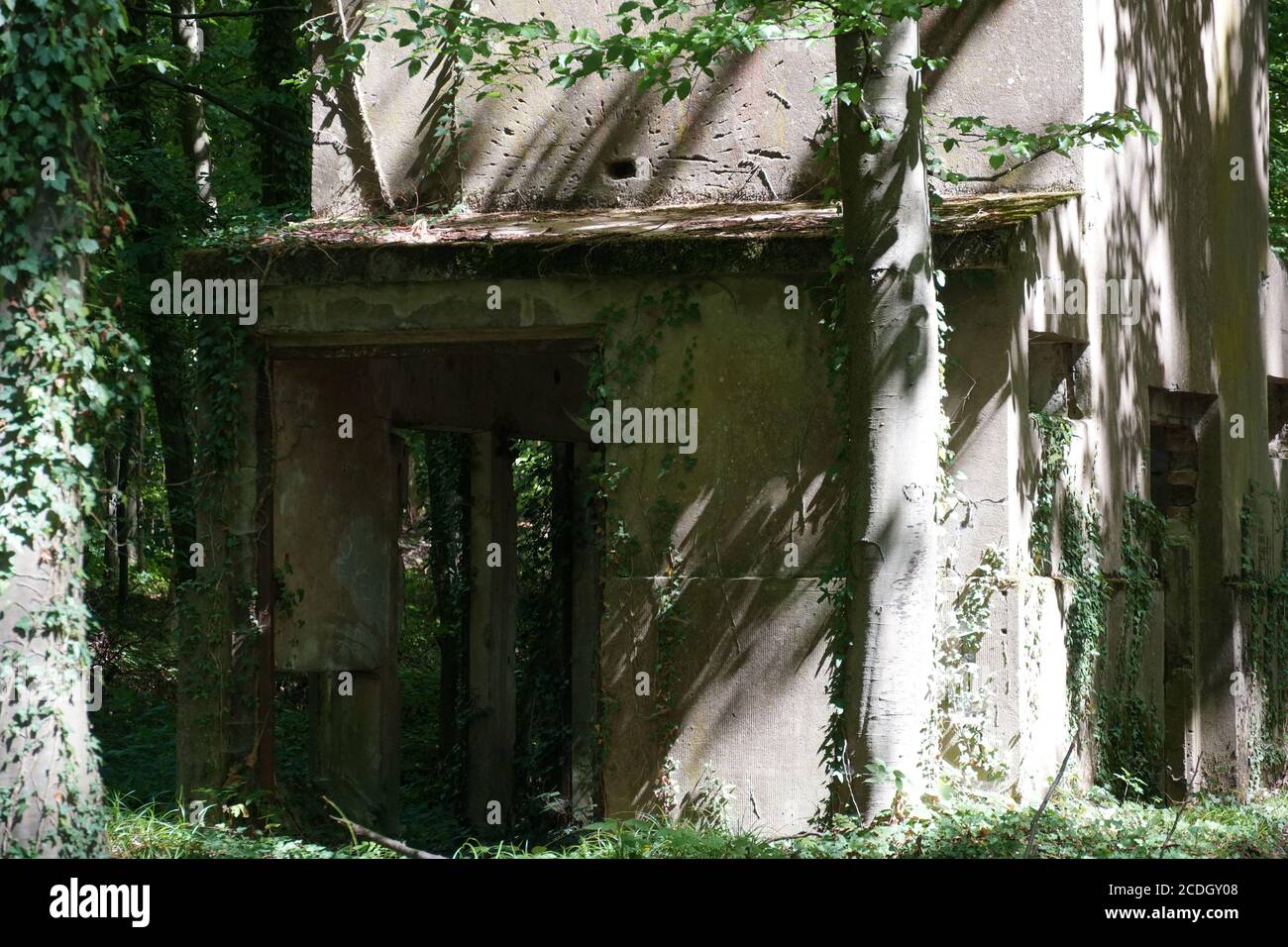 Ramshackle house in the forest with windows and doors taken out. There are only rundown walls left and they crumble slowly. Stock Photo
