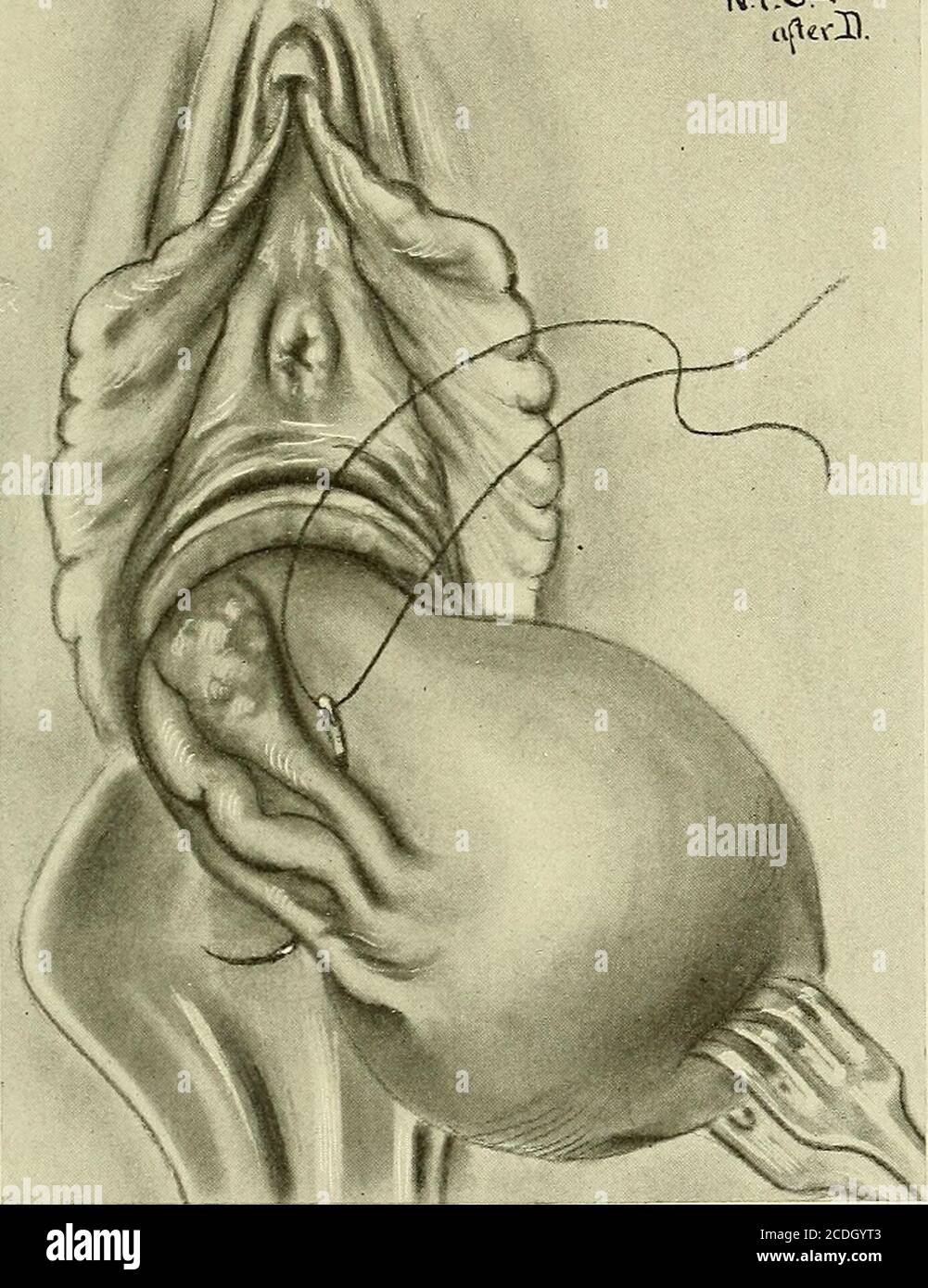 Tukli italyan porno mushuk Brazzers porno uyi