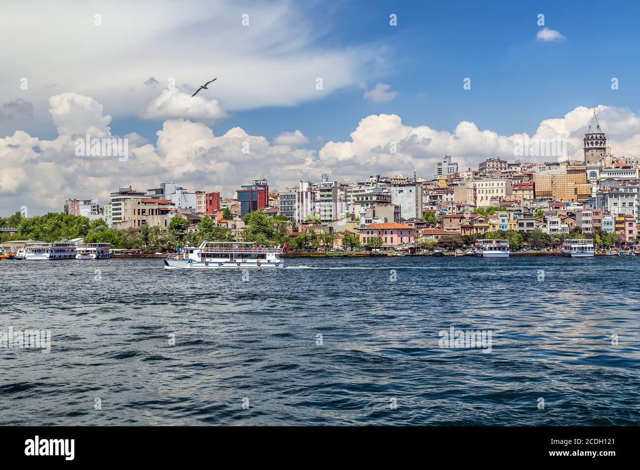 Istanbul Turkey Bosphorus Passenger ferry panoramic view Stock Photo ...