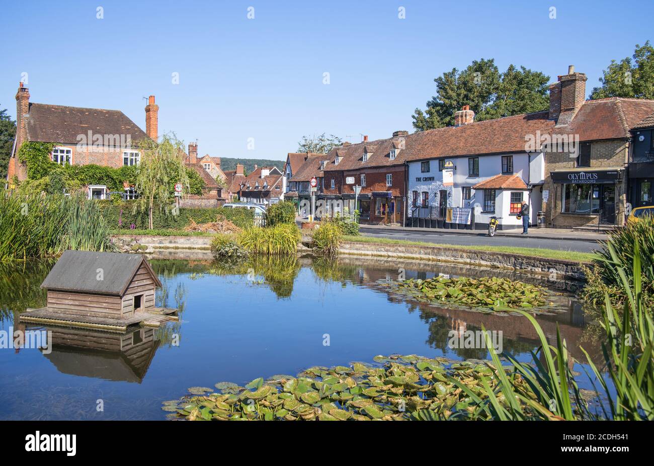 the village pond of otford near sevenoaks kent Stock Photo