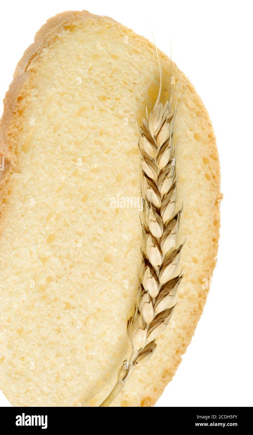 Wheat and cut bread Stock Photo