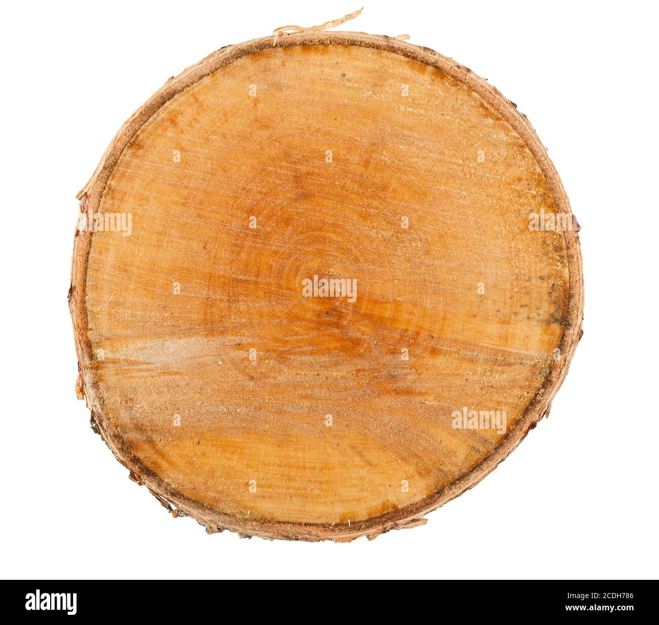 Wooden tree stump Cut Out Stock Images & Pictures - Alamy