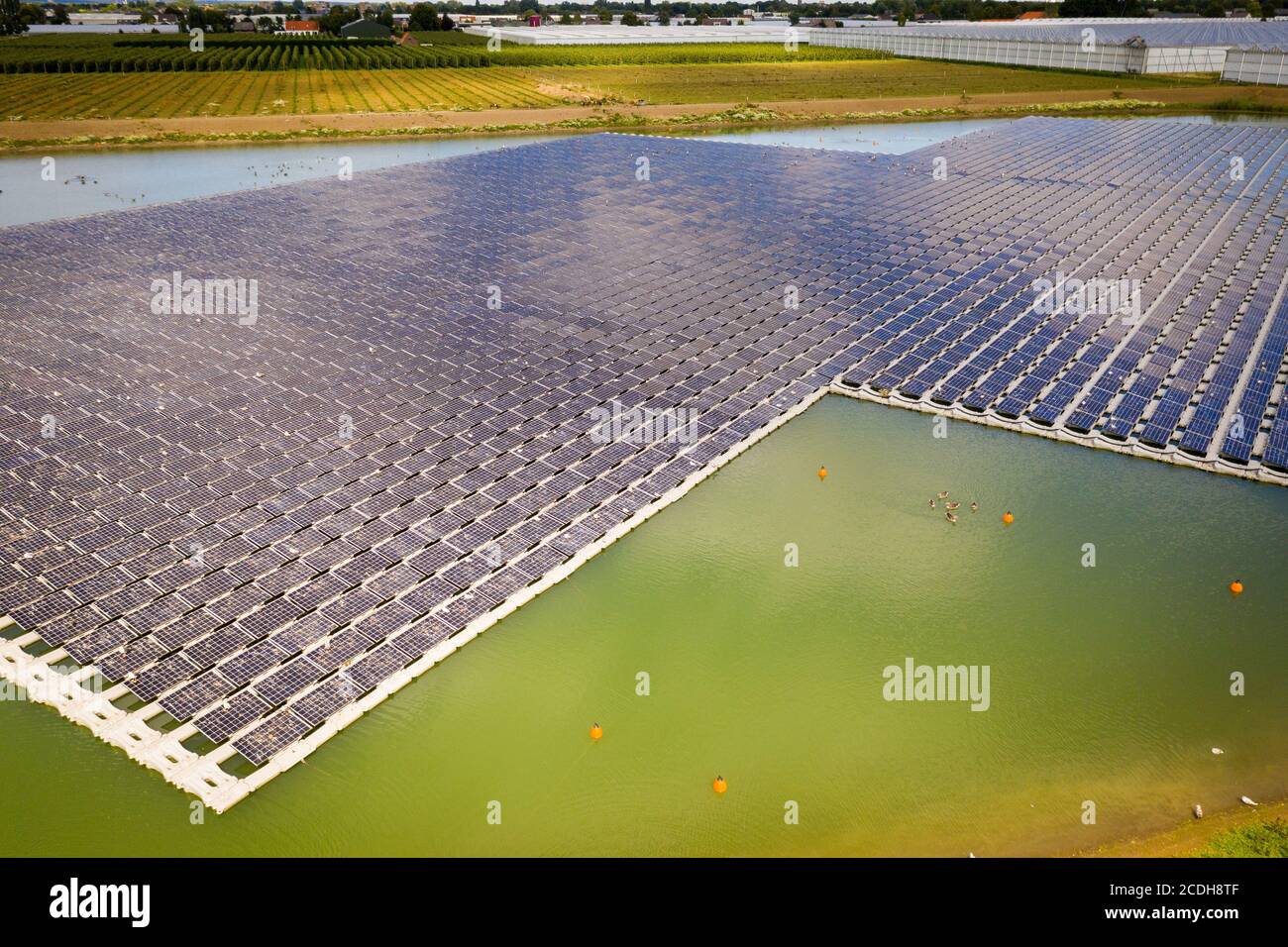Floating Solar Panels, Bemmel, the Netherlands Stock Photo Alamy