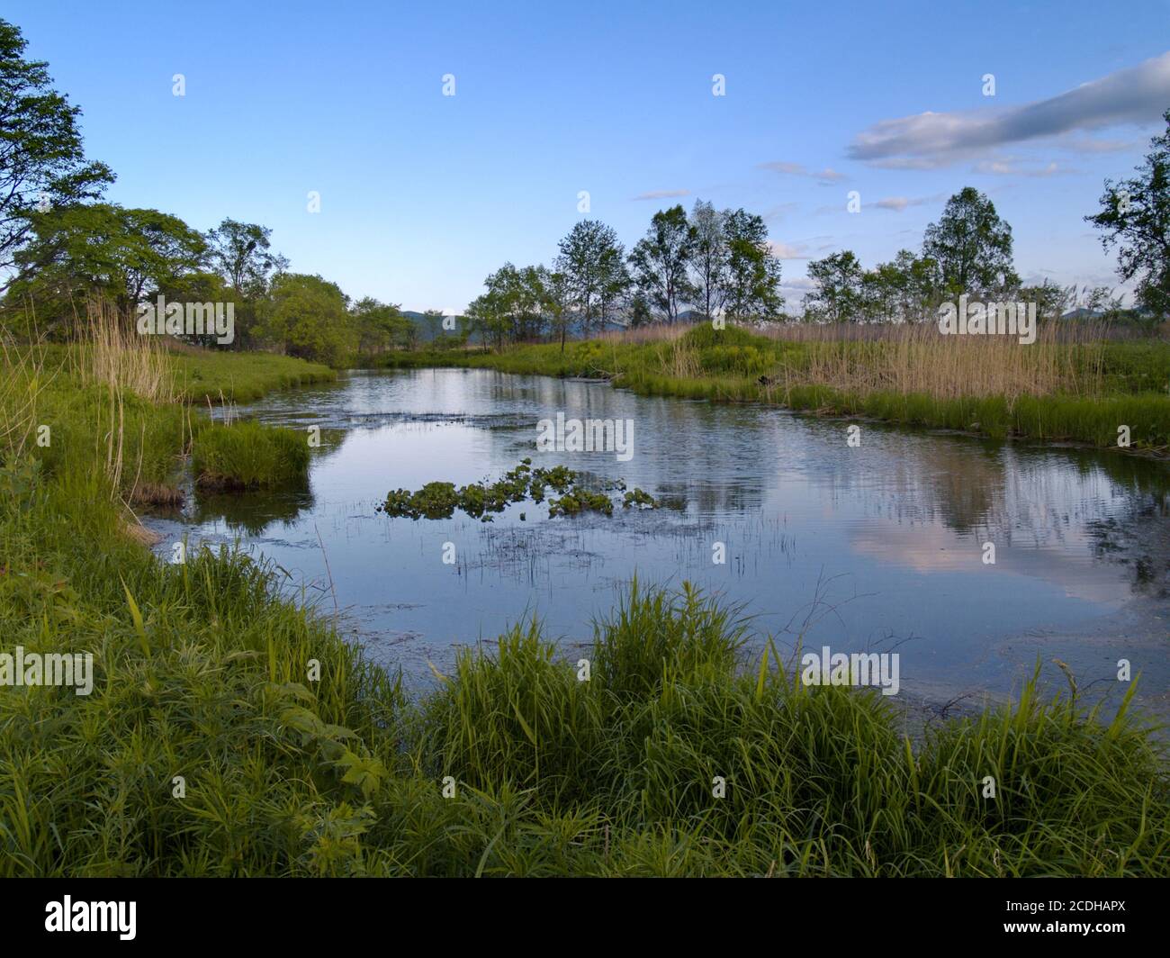 Field beside mountain hi-res stock photography and images - Alamy