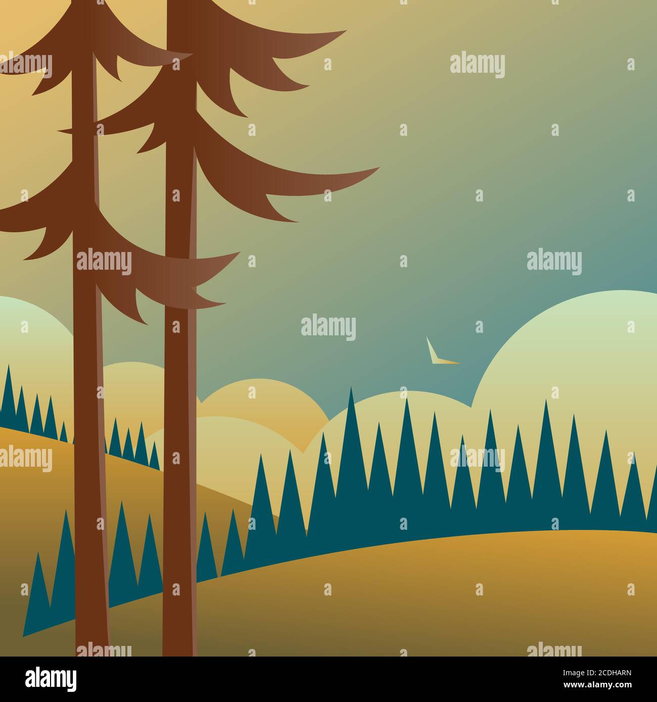 Landscape with pine trees, forests and fields. Stock Vector