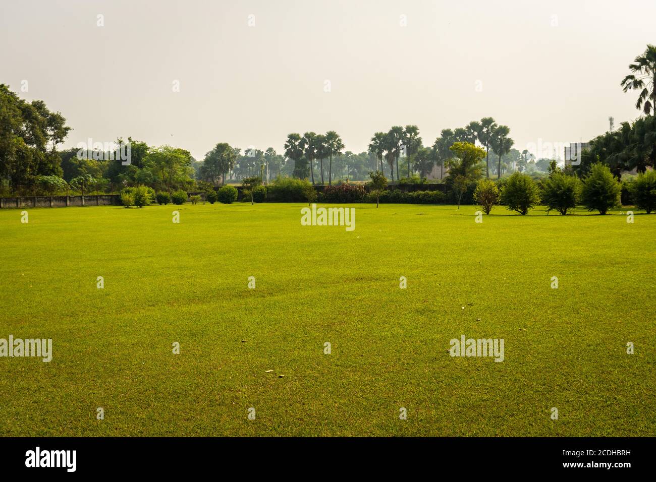 green grass ground with flat sky image is showing the place from game in urban city. Stock Photo