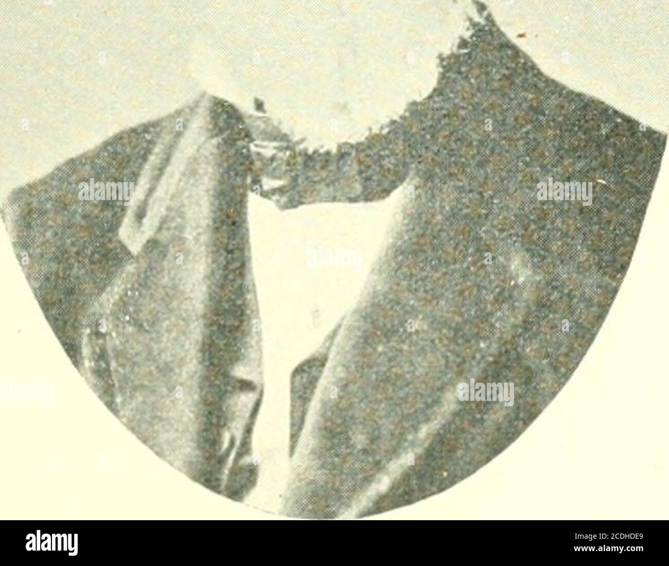 Alexander Morton High Resolution Stock Photography And Images Alamy