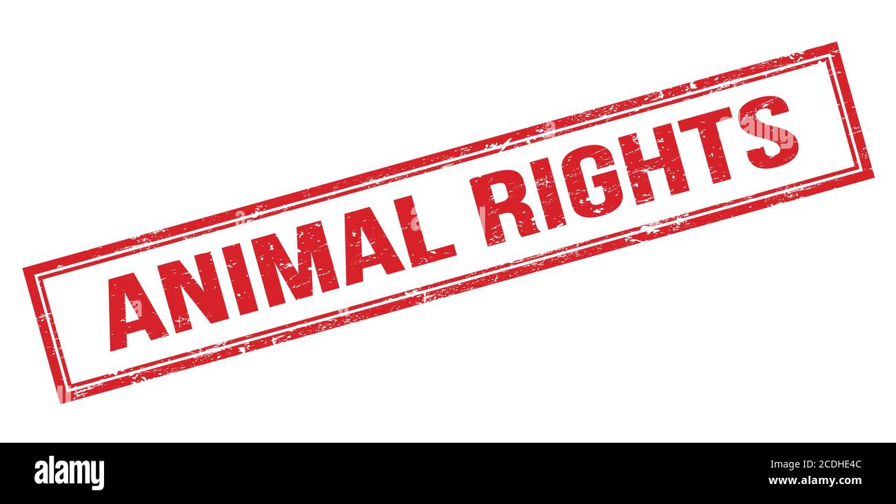 Animal rights banner Cut Out Stock Images & Pictures - Alamy
