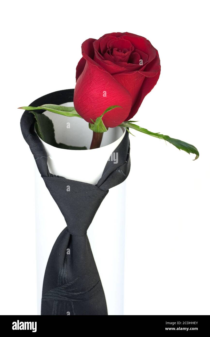 scarlet rose in a pair with a strict tie create co Stock Photo