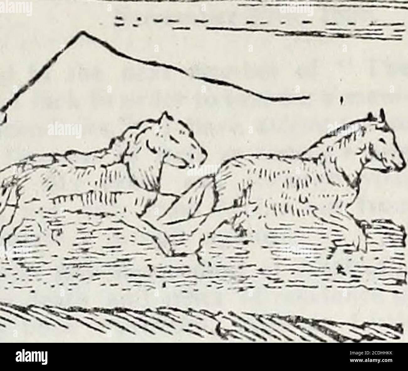 Captain myles standish hires stock photography and images Alamy