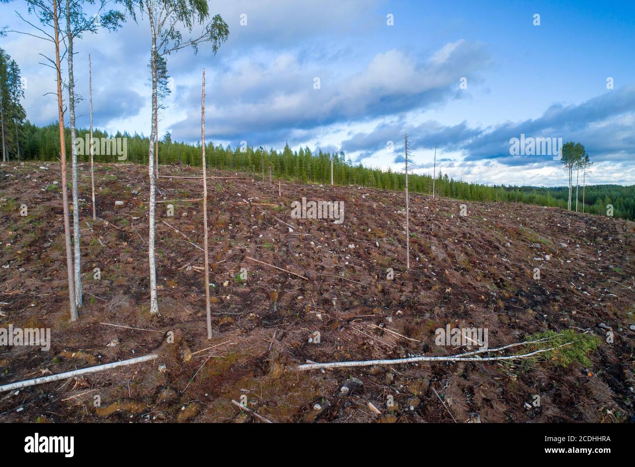 Aerial view of Finnish clear cutting area at hillside at Summer , Finland Stock Photo