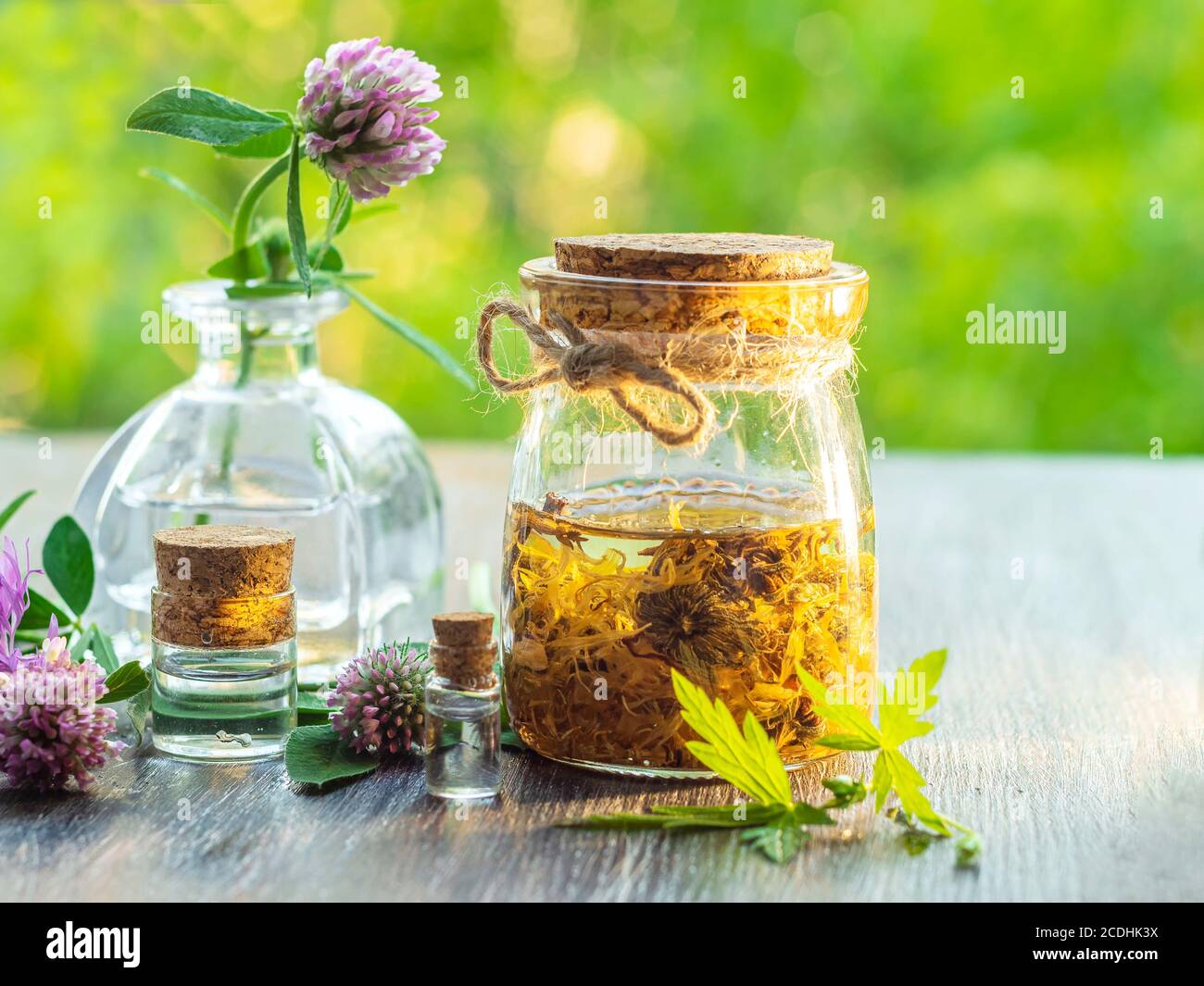 Herbs, bottles on wooden background. Alternative Medicine, Natural Healing. Selective focus Stock Photo