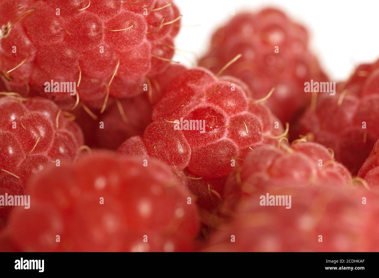 a lot of raspberry of red color on a white backgro Stock Photo