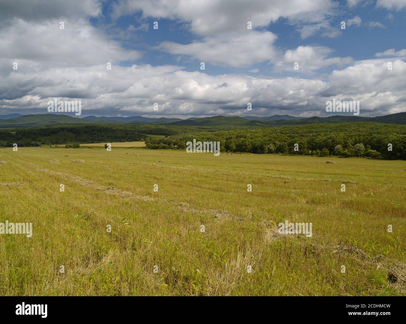 Straw heaps hi-res stock photography and images - Alamy