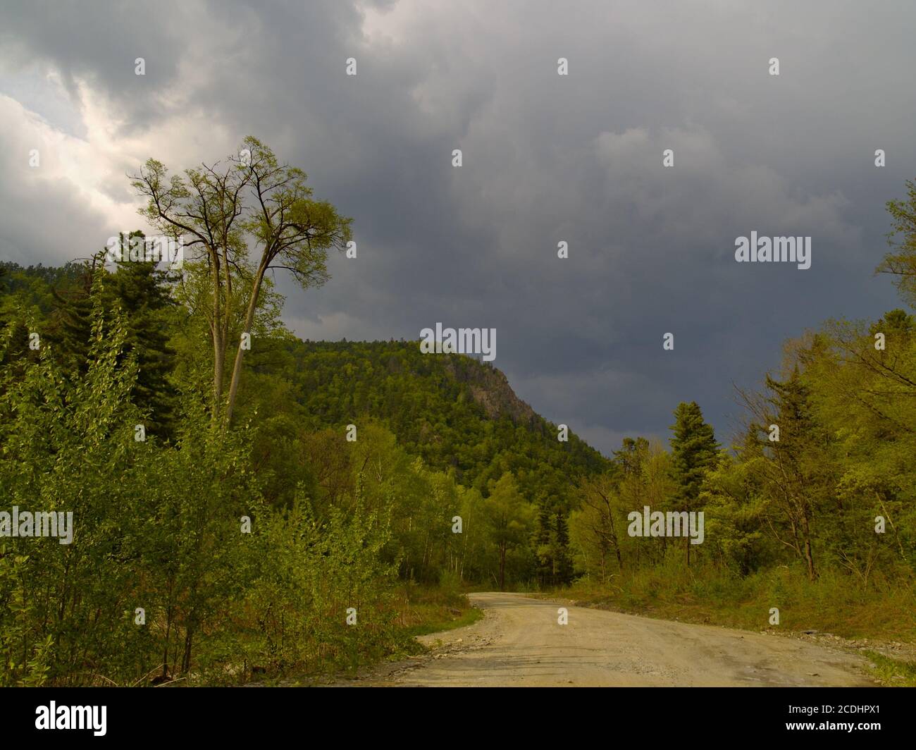 The Timber road Stock Photo - Alamy